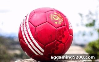 jdb电子财神捕鱼攻略：单式与复式玩法深度解析，助您捕鱼更高效