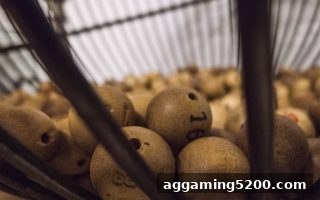 jdb电子财神捕鱼揭秘：彩票摇奖的物理与数学原理与公平保障