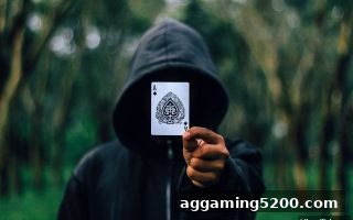 ICM模型深度解析：jdb电子财神捕鱼带你玩转百家乐单挑局数据决策